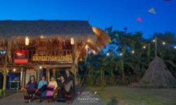 300_batch_20180607-391