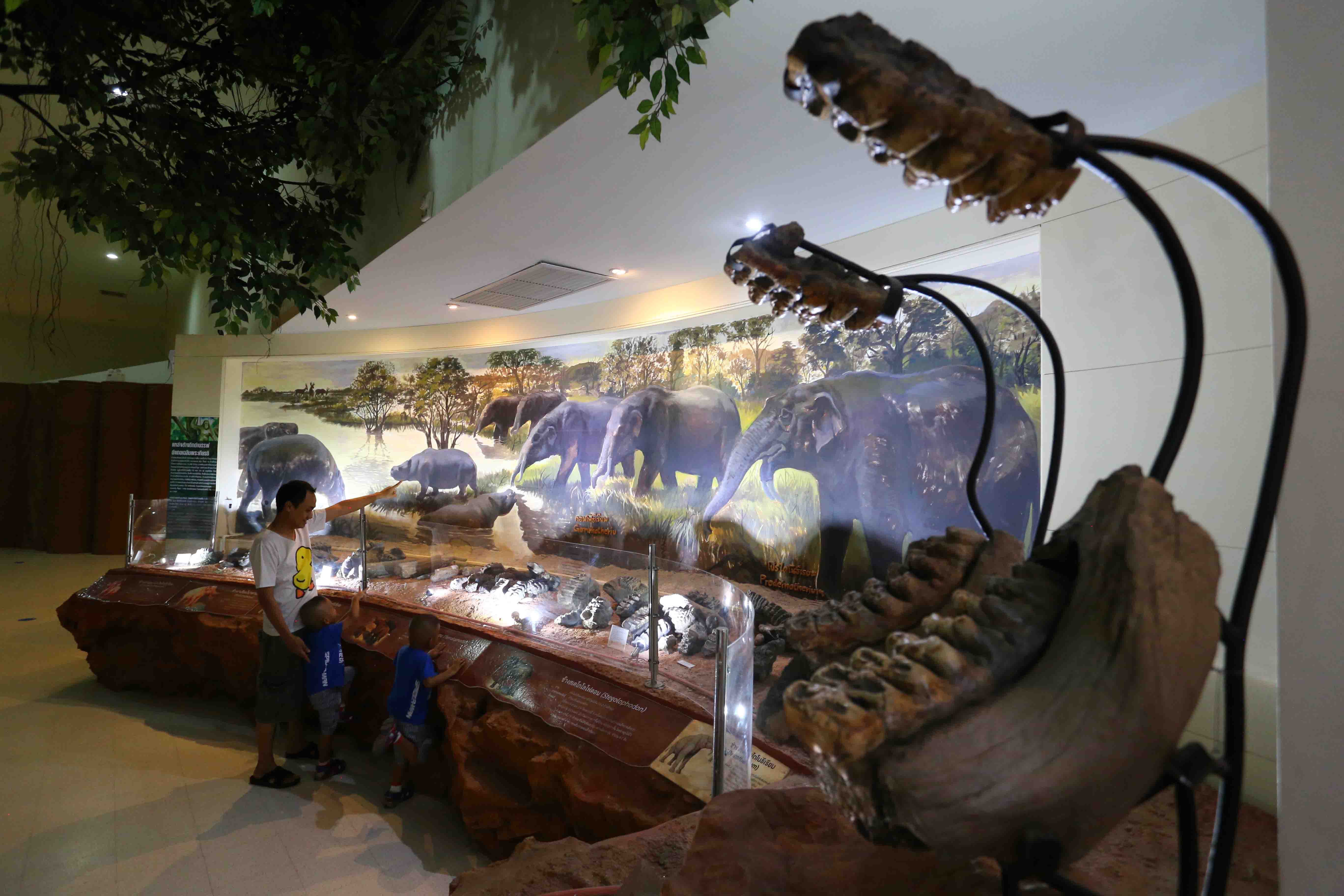 Khorat_Fossil_Museum2.jpg