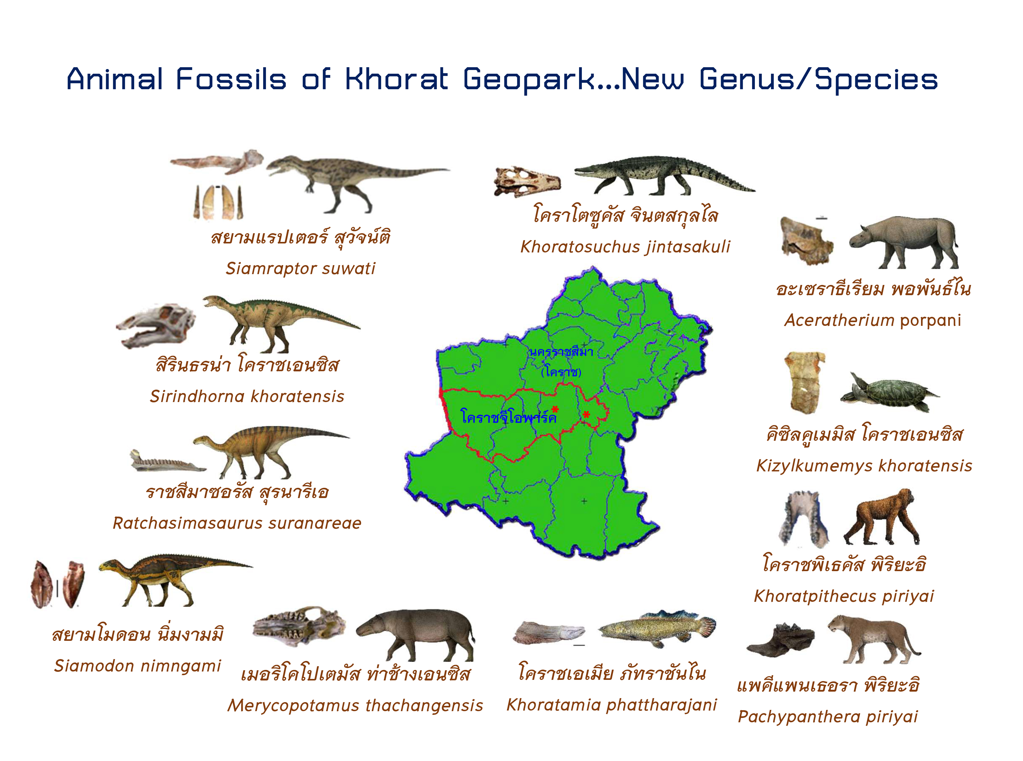 Animal Fossil of Khorat Geopark New Genus Species