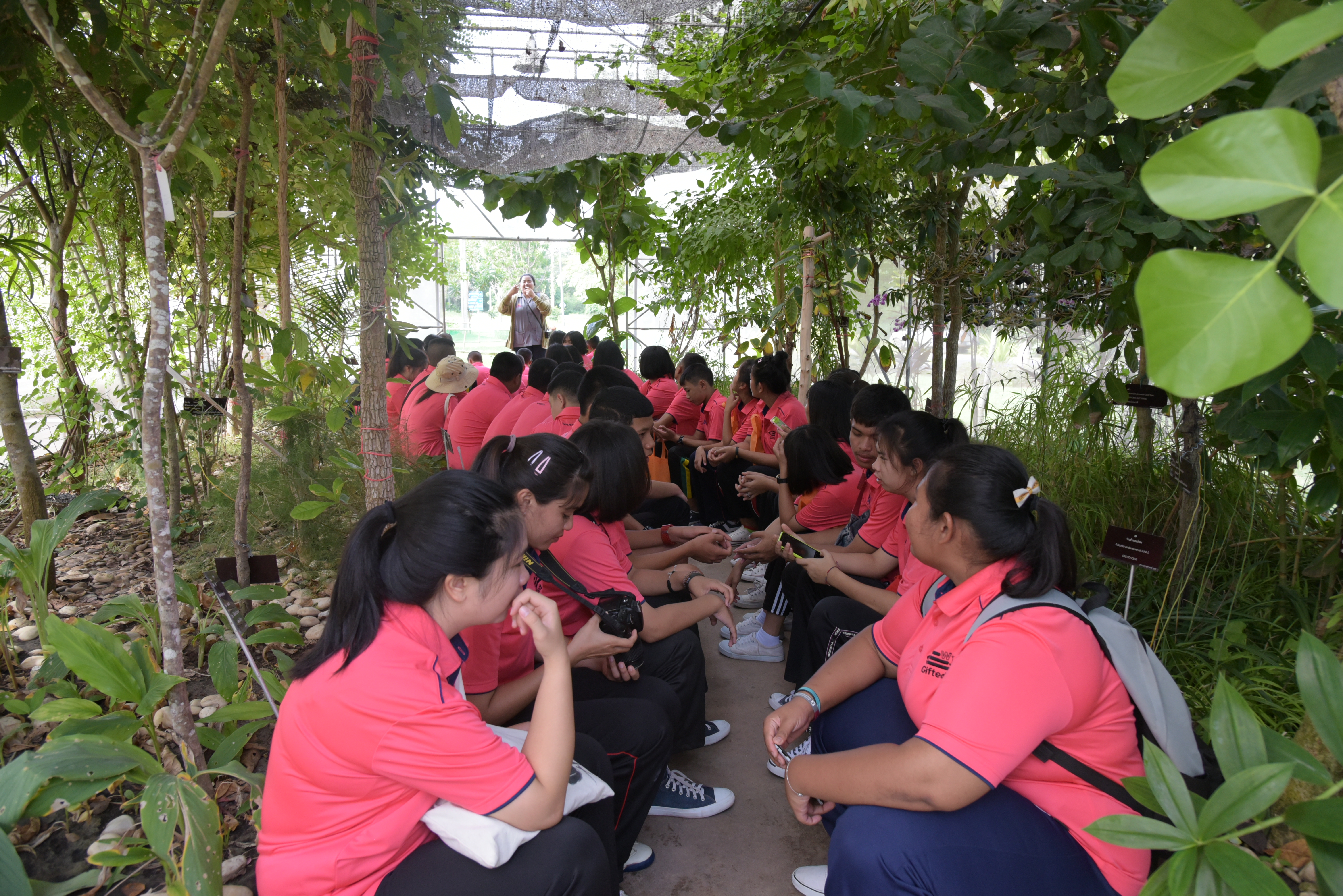SUT_Botanical_Garden2.jpg